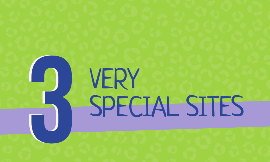 3 3. Very Spicy sites